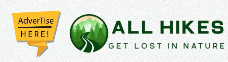 site-header-banner